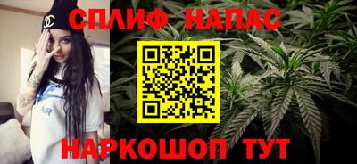 прущие грибы Малоярославец