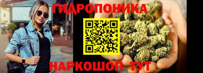 прущие грибы Мариинск