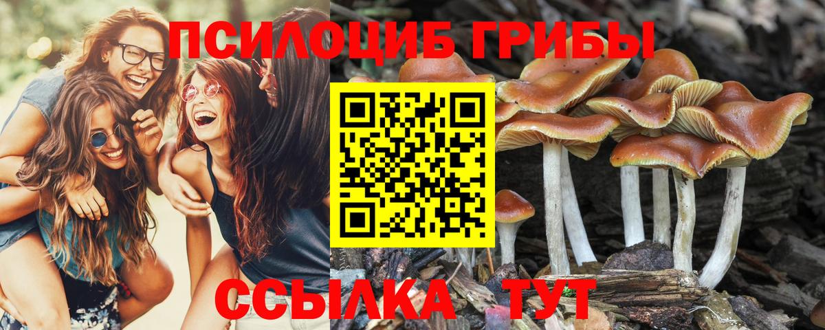 Бирск  Псилоцибиновые грибы прущие грибы  Псилоцибиновые грибы GOLDEN TEACHER  Вход с VPN 